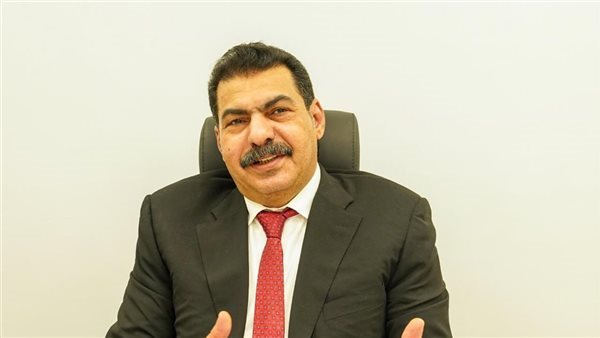 تشمل معاشا وصندوقا لحماية حقوقهم.. برلماني يطرح رؤية شاملة لدعم المصريين بالخارج