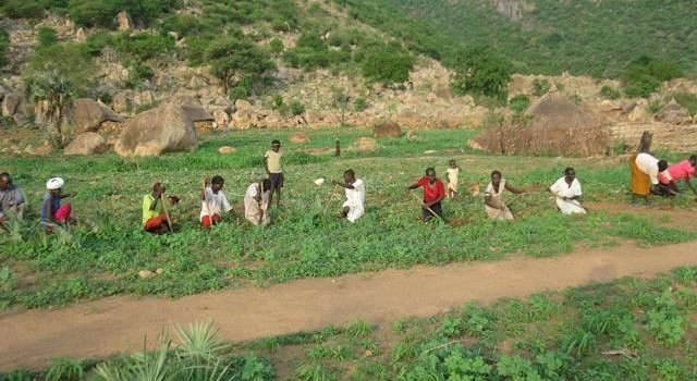 Warnings: Agriculture in East Darfur on verge of collapse