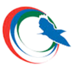 Gambia Bird Airlines