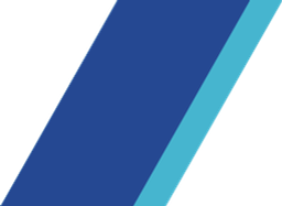 ANA Wings