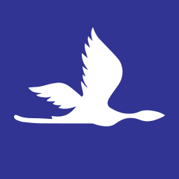 MNG Airlines