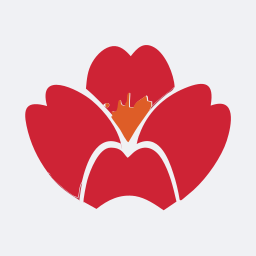 Qingdao Airlines