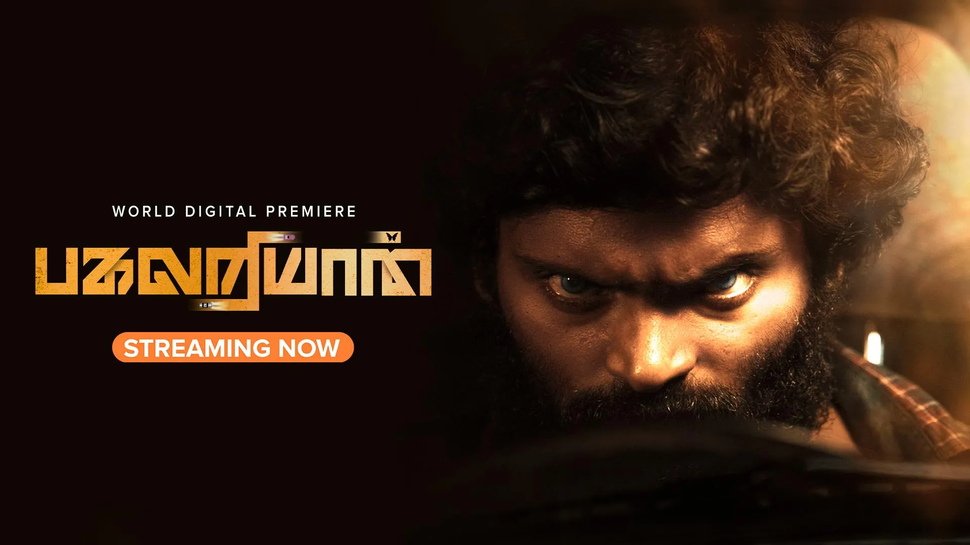 Photo 3 of Pagalariyaan