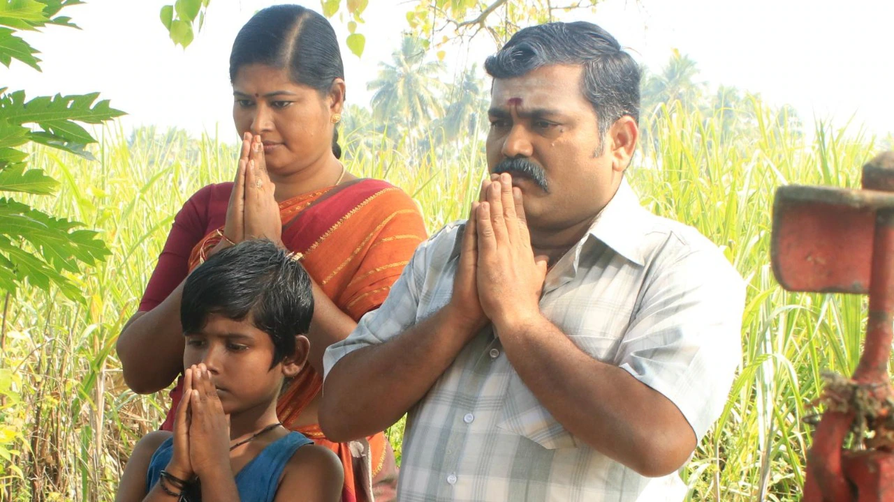 Photo 5 of Kurangu Pedal