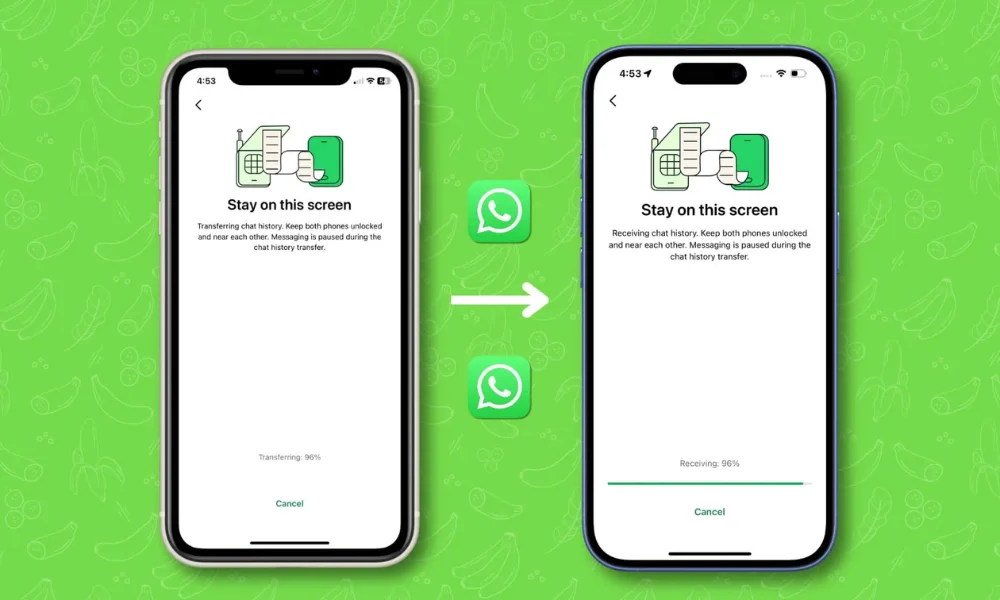 WhatsApp one-time transfer rule