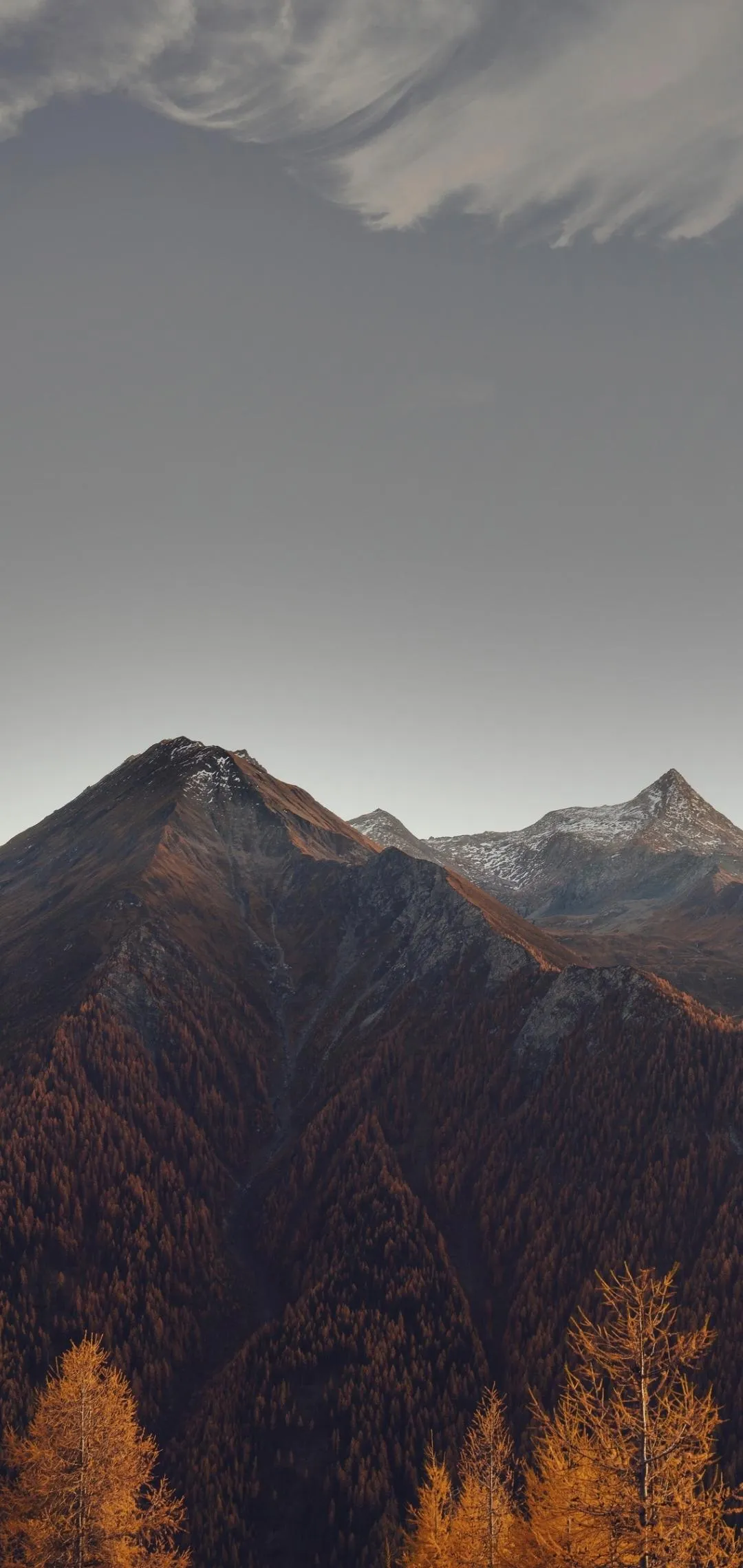 Autumn Mountains with Golden Trees at Sunset Wallpaper