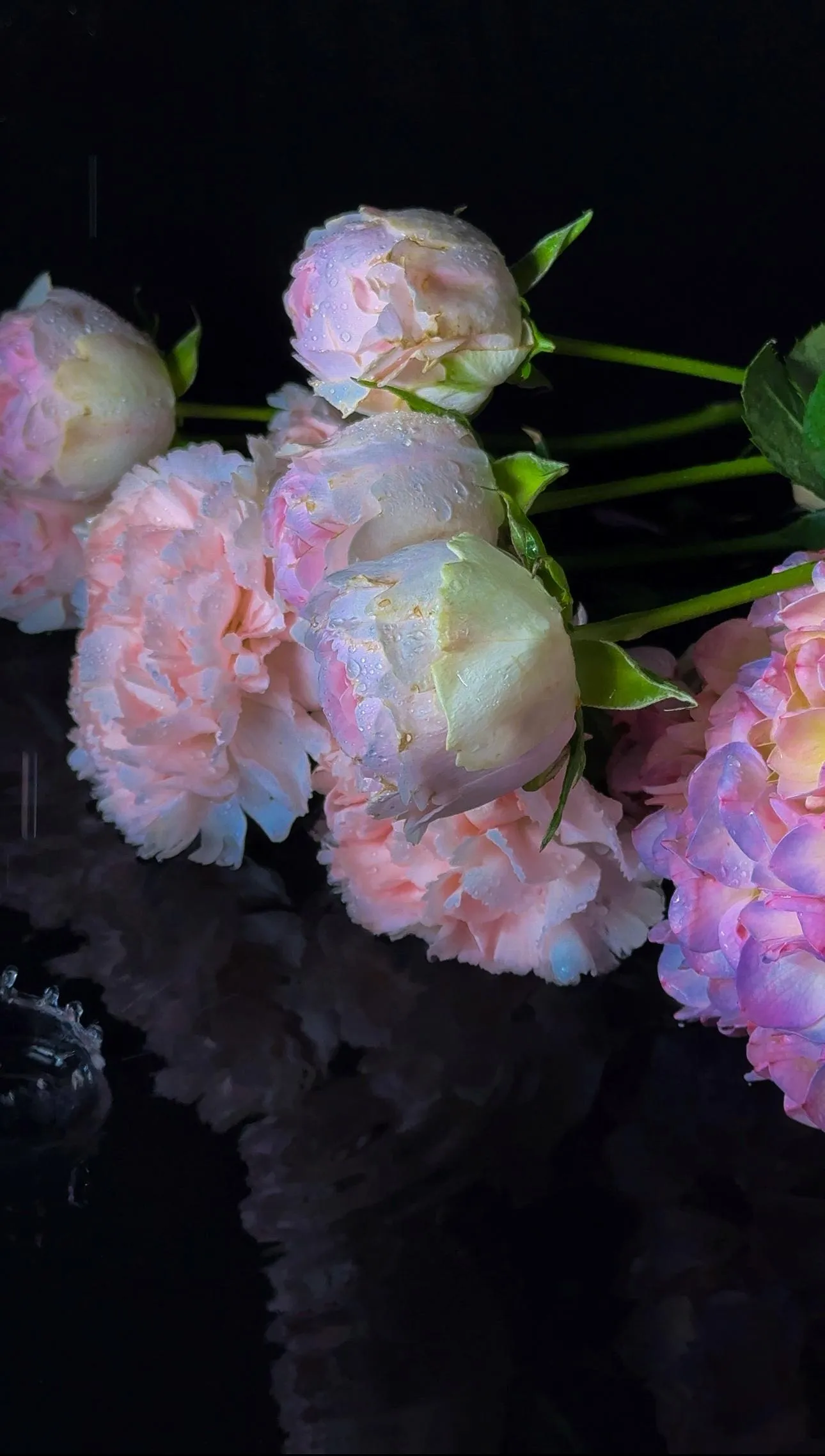 Beautiful Pink Flowers Close Up Photography Wallpaper