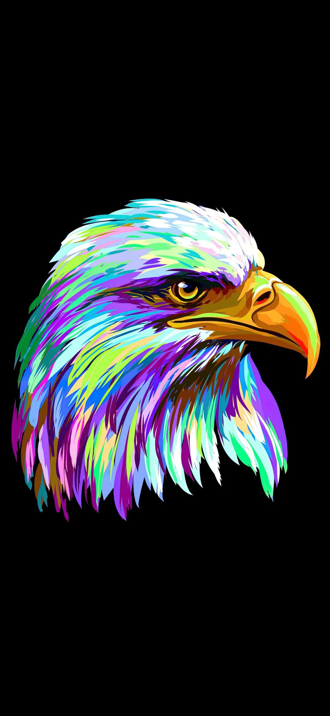 Colorful Eagle Head Digital Art Illustration Wallpaper