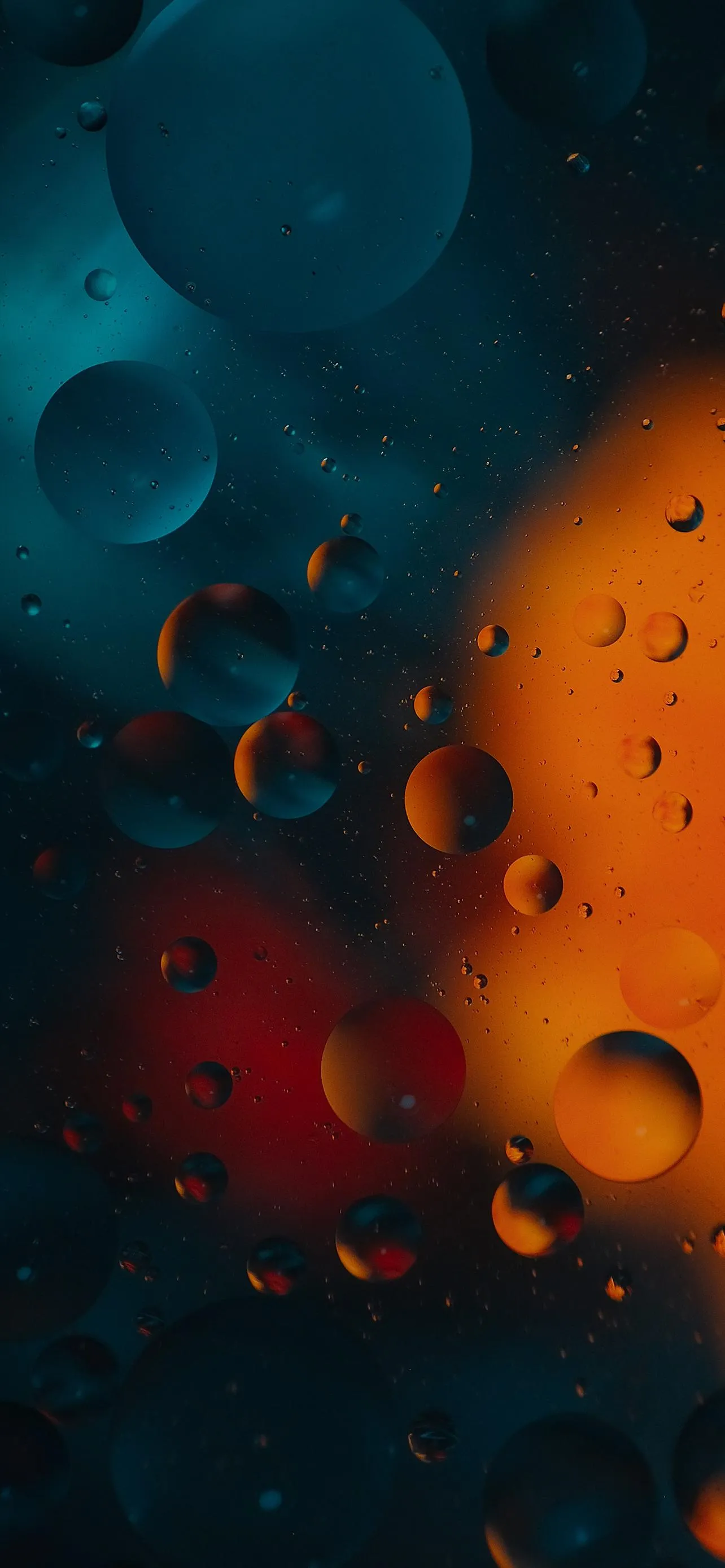 Colorful Oil and Water Abstract Bubble Art Wallpaper