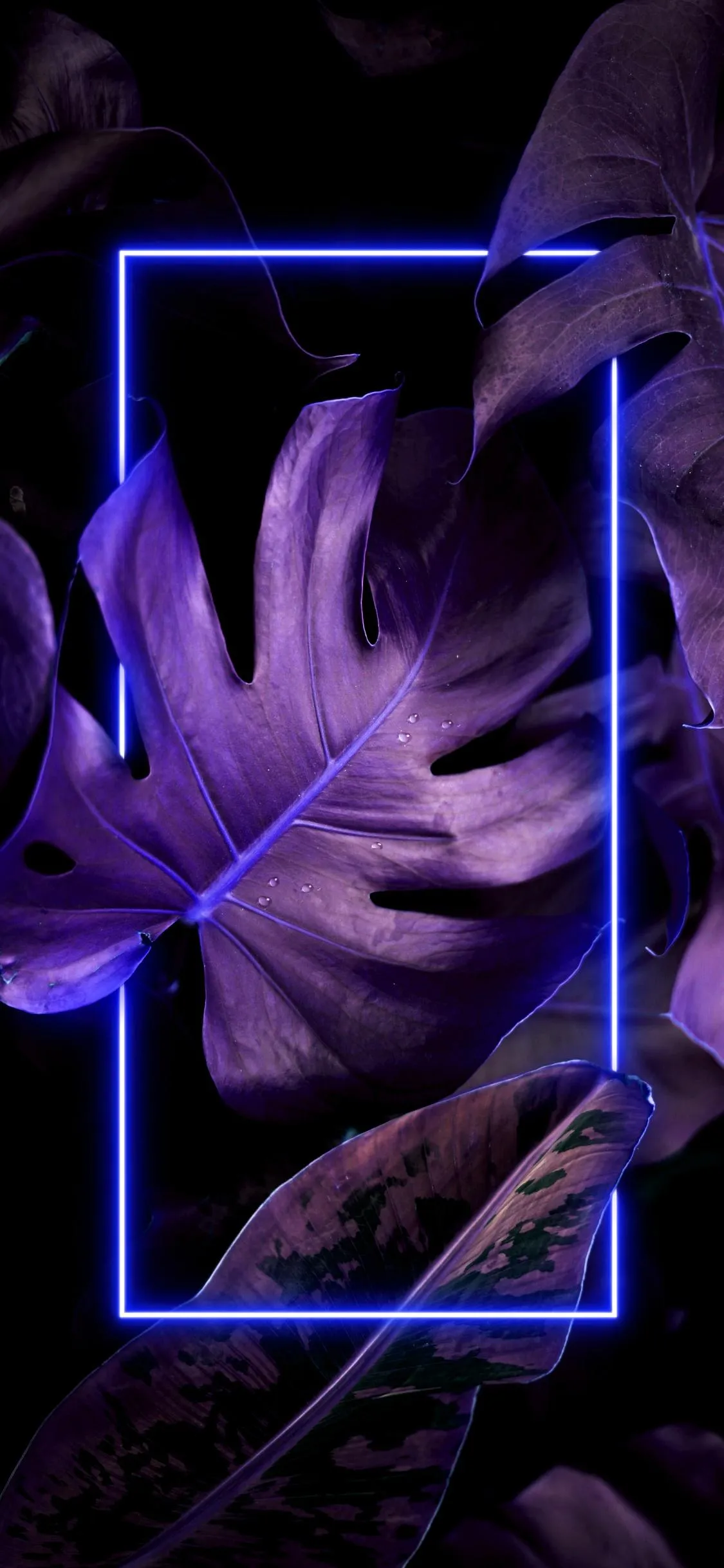 Purple Abstract Floral Design Neon Light Wallpaper