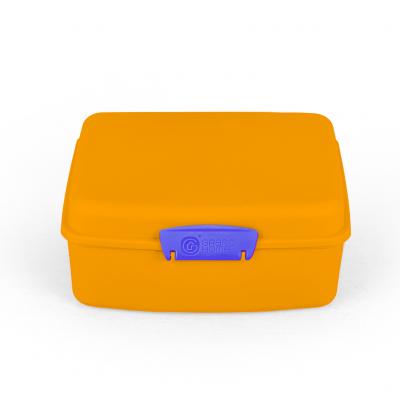 Pack & Go Lunch Box Large