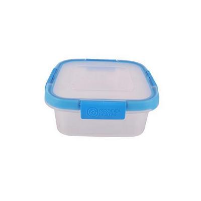 Hygenic Food Container Square 0.5 Liter Clear And Gray