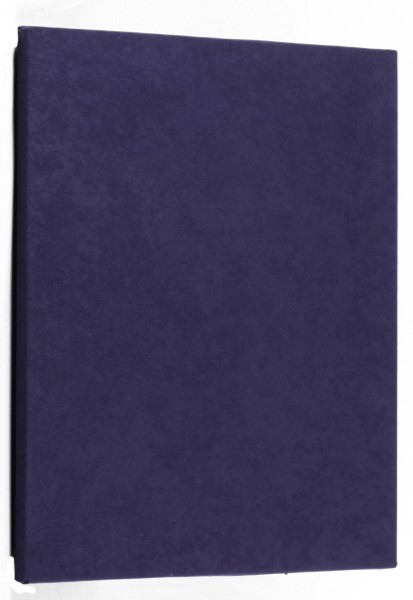 VICOUSTIC CINEMA SQUARE 60.4 PREMIUM Panneau Absorbant (Lot de 6)