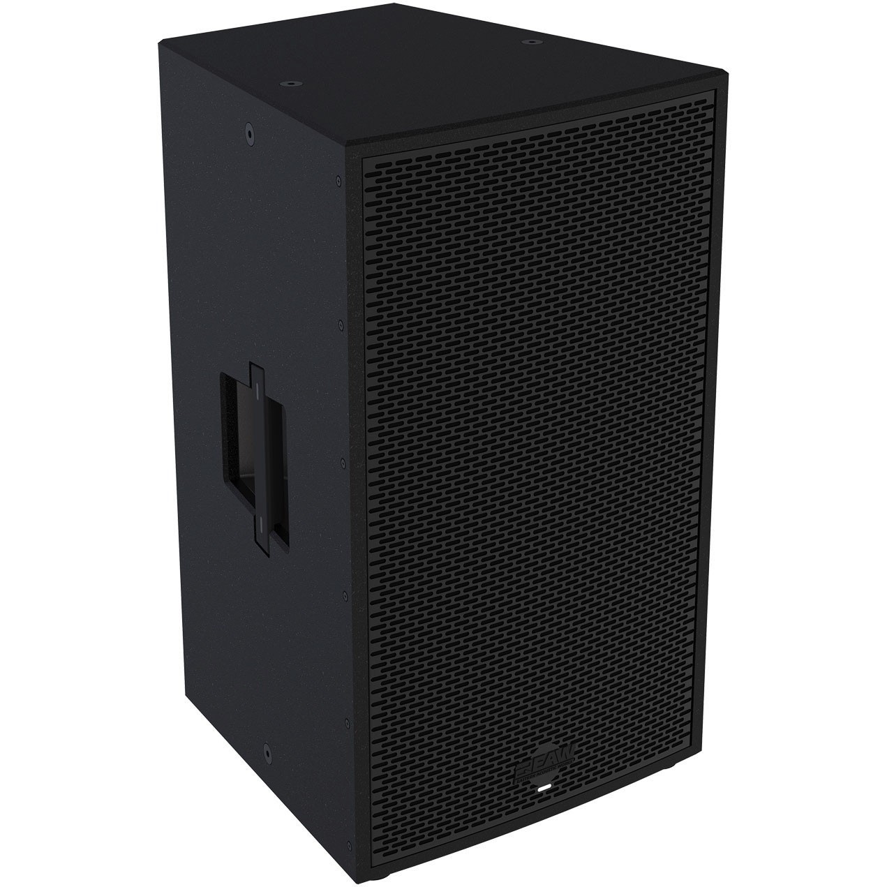EAW RADIUS RSX129 Enceinte 2 voies 12" Bi-Amplifiée 500 Watts (LF) + 500 Watts (HF)