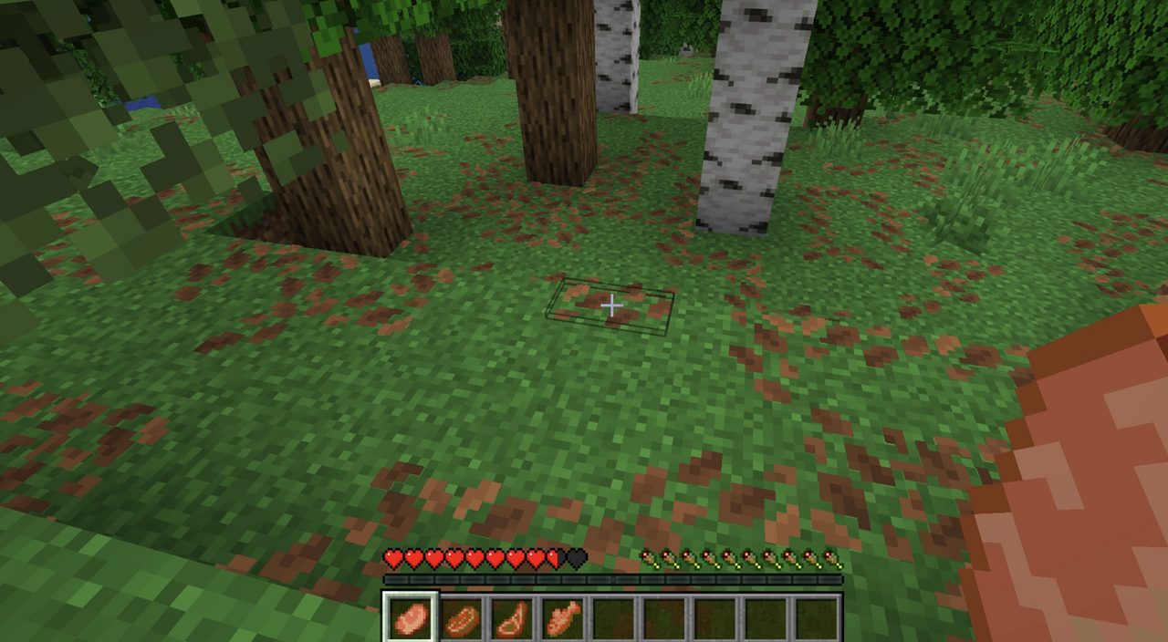 Project Screenshot