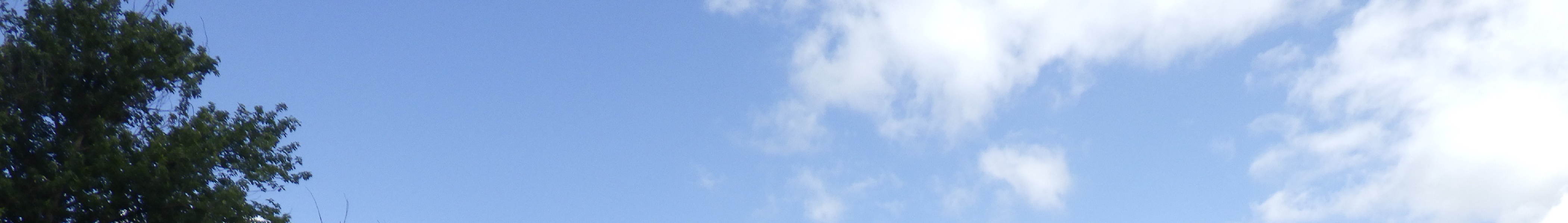Blick auf einen Baum und blauen Himmel mit Wolken, vermutlich Teil des Grundstücks An der Schnauder 8 in Roßwein OT Littdorf