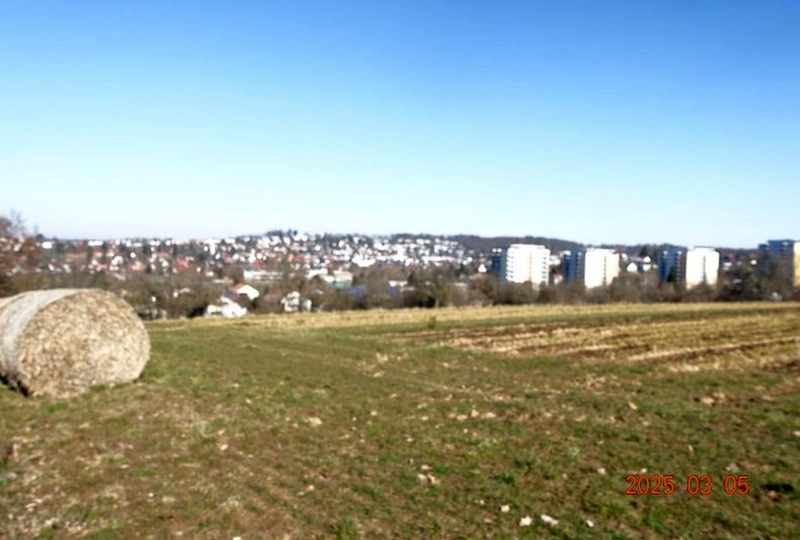 Luftbild — Land- und forstwirtschaftlich genutztes Grundstück in Böblingen, 71032