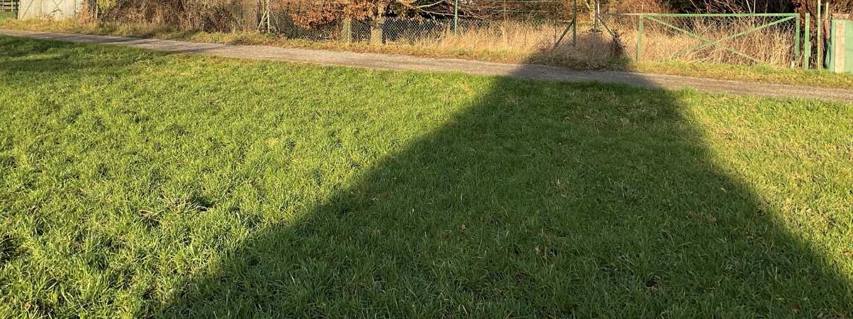Grüner Rasenbereich mit Kiesweg und Zaun im Hintergrund auf einem unbebauten Grundstück in Inden-Frenz