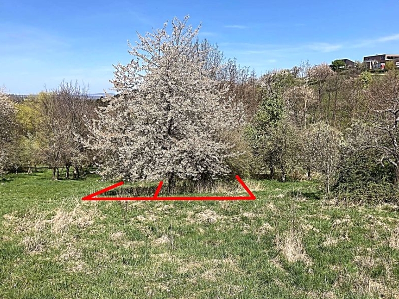 Garten — Unbekannt in Kohlberg, Pfaffentobel