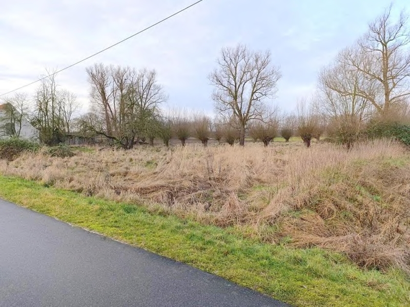 Gartenfläche an der Ringstraße in Neuenkirchen OT Kieshof-Ausbau mit trockenem Gras, Sträuchern und kahlen Bäumen im Winterzustand