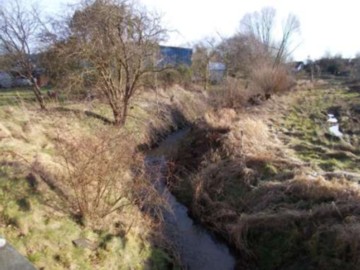 Gartenbereich mit schmalen Wasserlauf, trockenem Gras und kahlen Bäumen, Flensburger Straße 25, Sterup, 24996