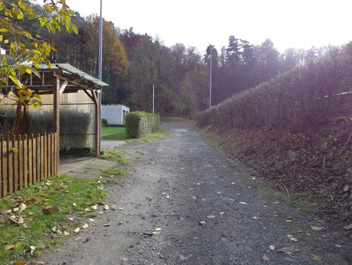 Gartenweg mit Kiesbelag, beidseitig von Hecken und einem Holzunterstand mit Wellblechdach gesäumt, im Hintergrund Bäume und ein weißer Anbau