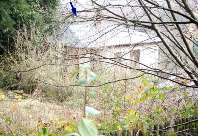 Ansicht eines Gebäudes an der Handtal 14, 06295, durch kahle Äste und Vegetation im Vordergrund, mit blauer Pfeilmarkierung auf Dachbereich