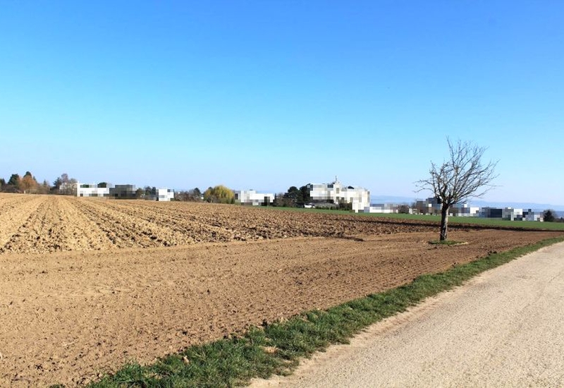 Ackerland in Ostfildern, Sauteräcker nahe Heumadener Straße, mit gepflügter Fläche, einzelner kahler Baum und im Hintergrund Wohngebäude unter klarem Himmel