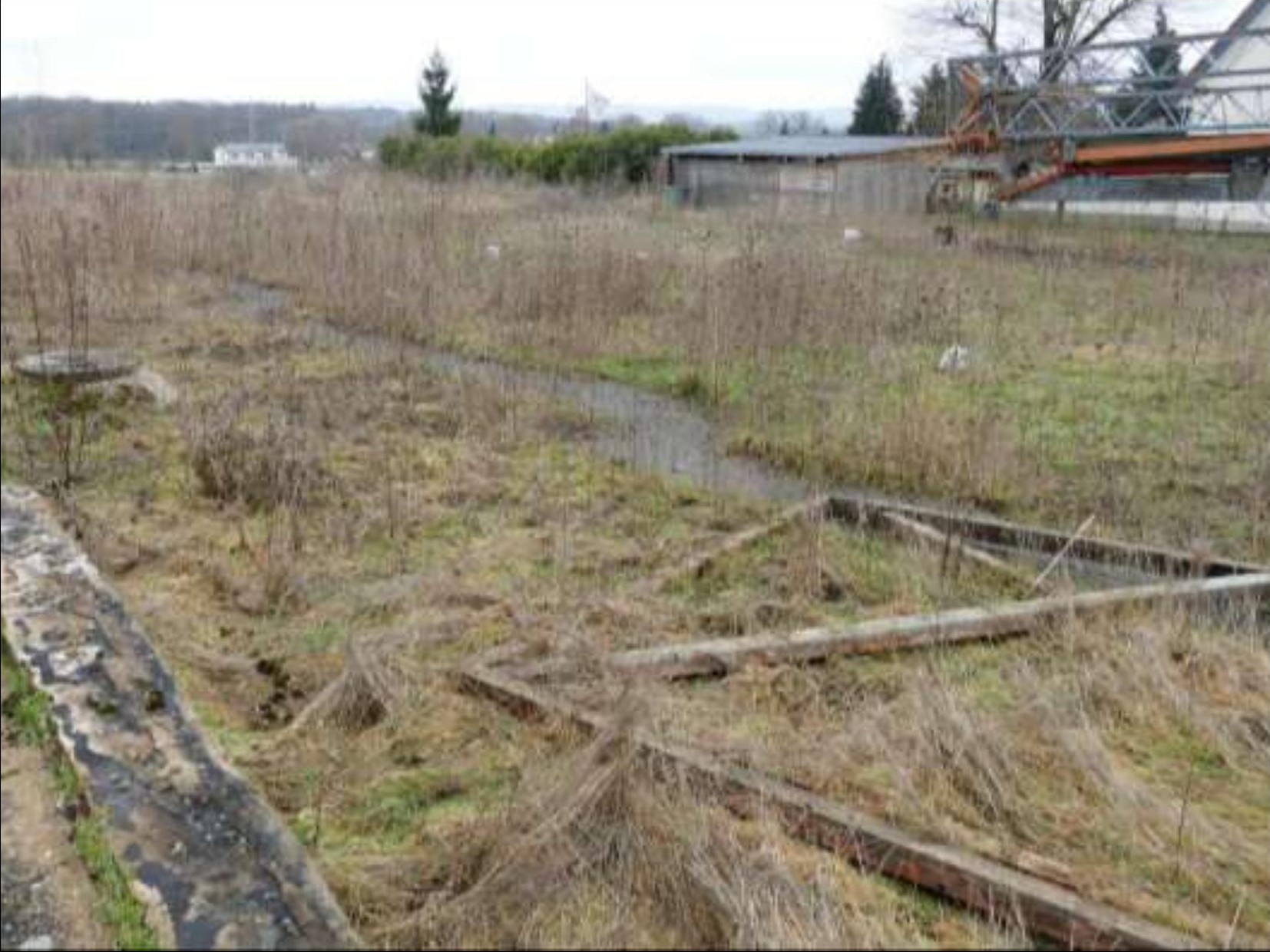 Ungepflegter Gartenbereich mit trockenem Gras, einem kleinen Wasserlauf und Holzstrukturen, im Hintergrund Gebäude und Bäume
