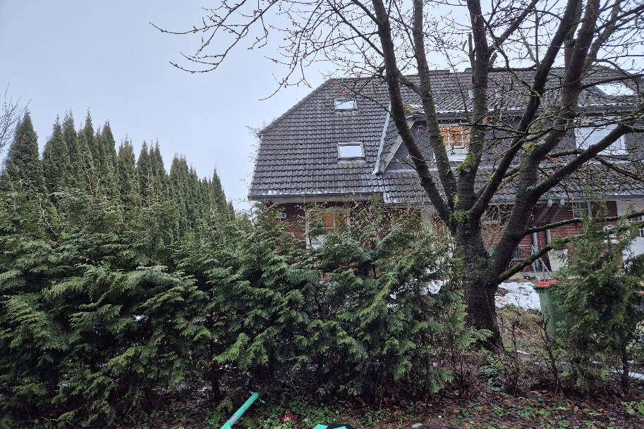 Gartenbereich mit Nadelbäumen und kahlem Baum vor einer Doppelhaushälfte mit Schieferdach, Alter Berner Weg 115, Hamburg 22399
