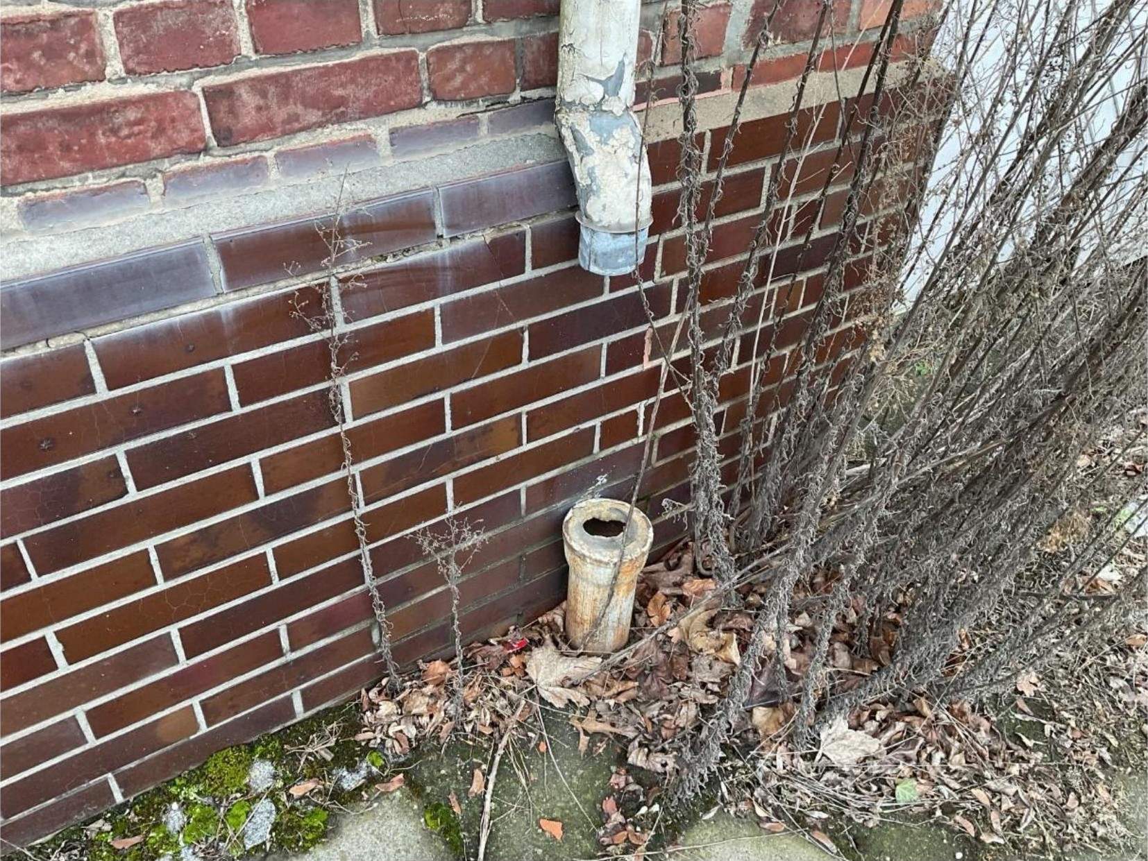 Außenansicht einer Backsteinmauer mit Abflussrohr und Betonablauf am Boden, umgeben von Laub und trockenen Pflanzen