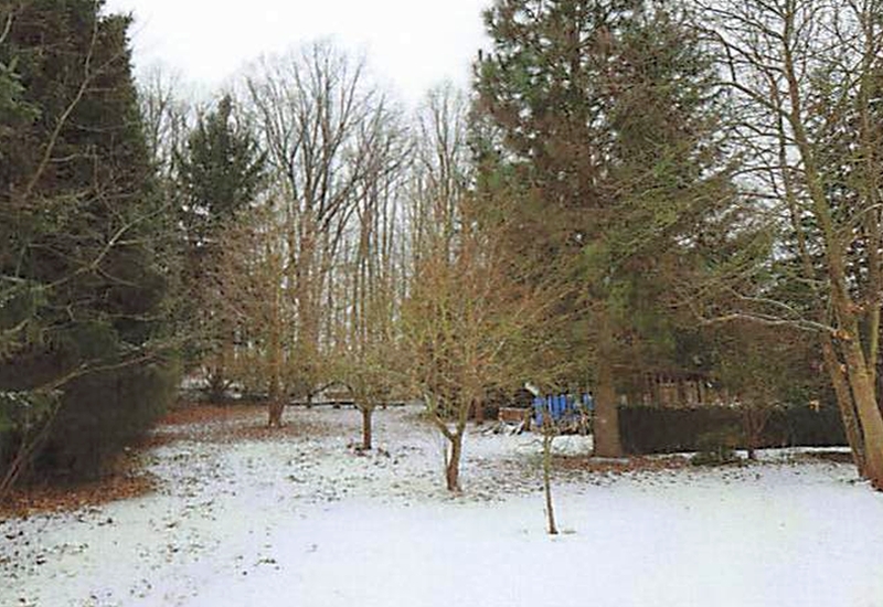 Schneebedeckter Gartenbereich mit kahlen Bäumen und Nadelbäumen, Crinitz, Hauptstraße 2b