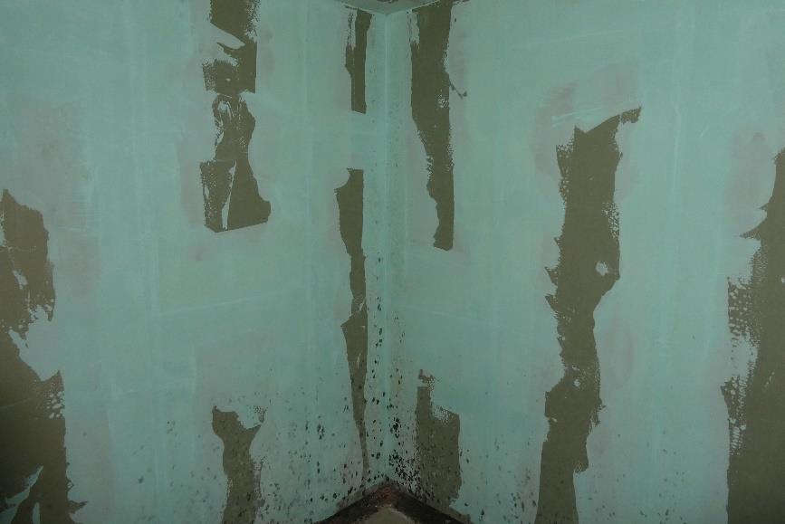 Innenansicht einer Eigentumswohnung in Bad Mergentheim, Ketterburgweg 6, mit abblätternder Wandfarbe und sichtbaren Schäden an den Wänden und der Ecke