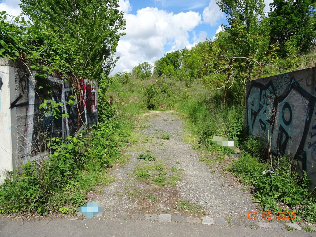 Unbefestigter Weg zwischen bewachsenen Betonwänden mit Graffiti, umgeben von Grünflächen und Bäumen, Torgauer Straße 53, Leipzig Schönefeld-Ost
