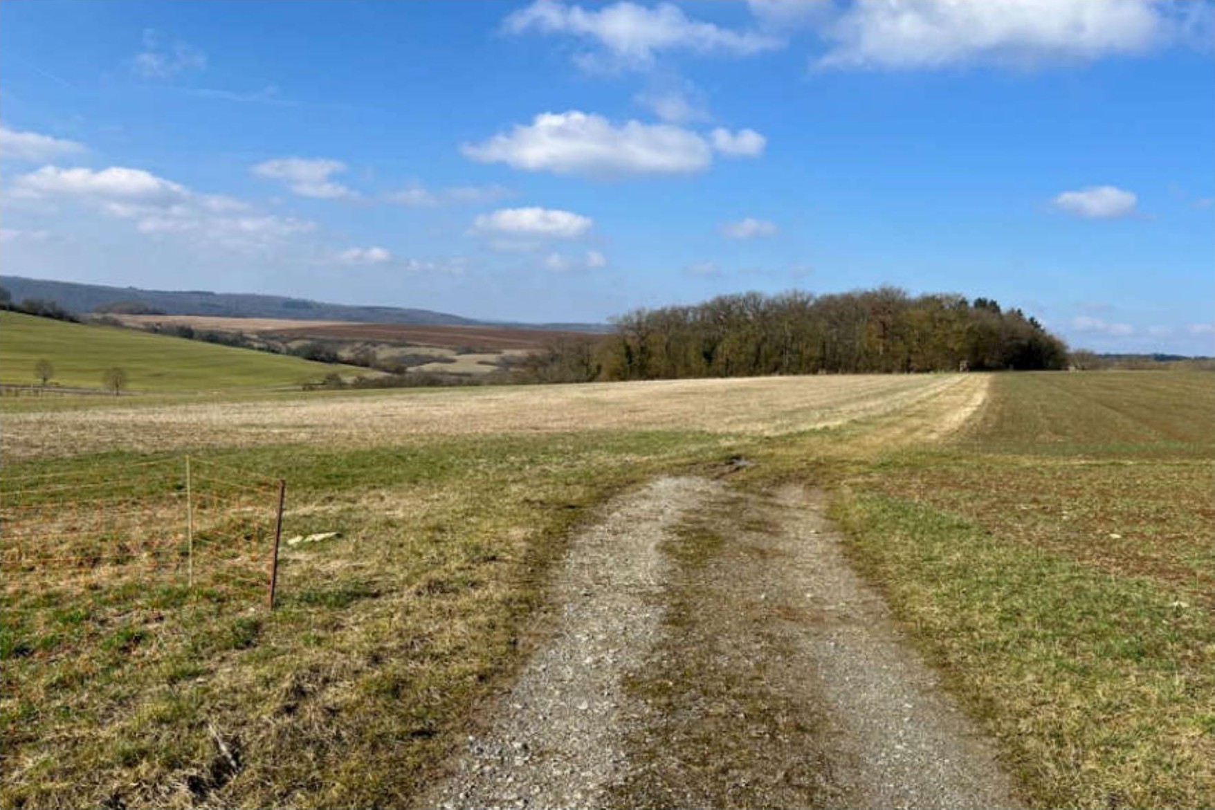 Agrarland mit Grasflächen, Kiesweg und Bäumen im Hintergrund unter blauem Himmel