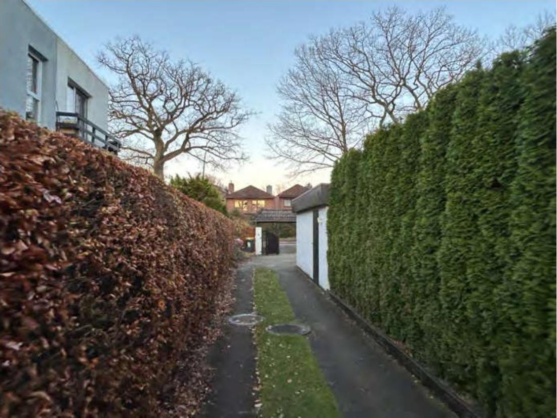 Narrower Weg zwischen zwei Hecken, einer braunen und einer grünen, mit Grasstreifen und Abdeckplatten, im Hintergrund Gebäude und kahle Bäume