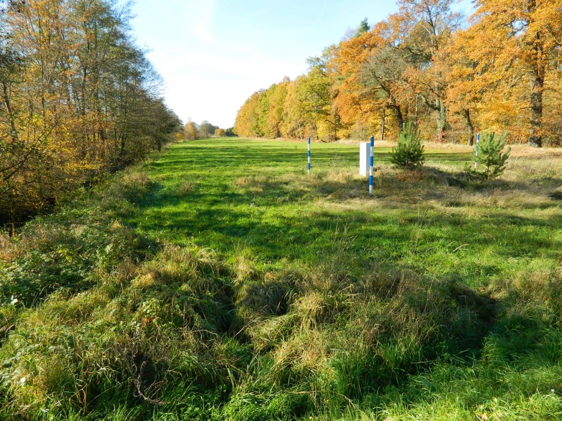 Grüner Gartenbereich mit Herbstbäumen und blau-weißen Grenzmarkierungen in Mockrehna, Weidenhainer Straße 2