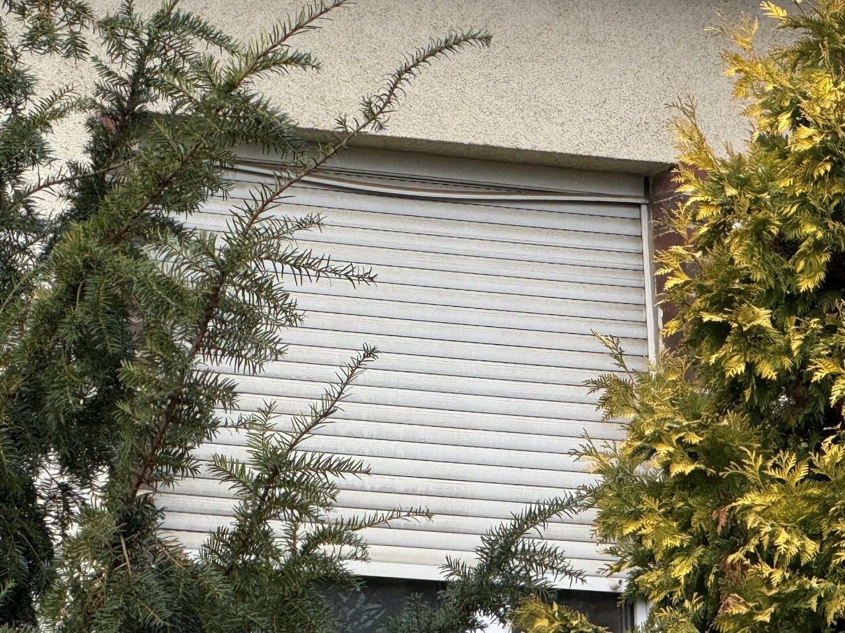 Außenansicht eines Gebäudes mit geschlossenem Rollladenfenster, teilweise verdeckt durch Nadelbäume, Böhlen, Ferdinand-Lassalle-Str. 11