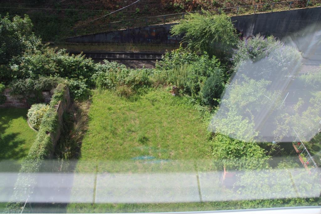 Überblick über einen Gartenbereich mit Gras, Sträuchern und einem Gewächshaus, gesehen von oben, im Umfeld der Garage Auf dem Wichterbruch 19 in Hagen