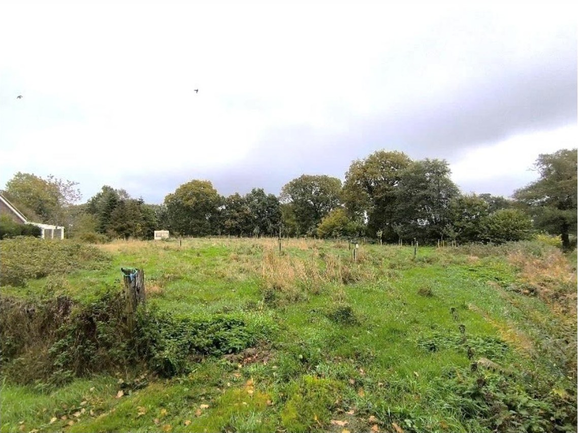 Grüner Gartenbereich mit Gras, Büschen und Bäumen im Hintergrund, Teil eines Einfamilienhauses in Großefehn