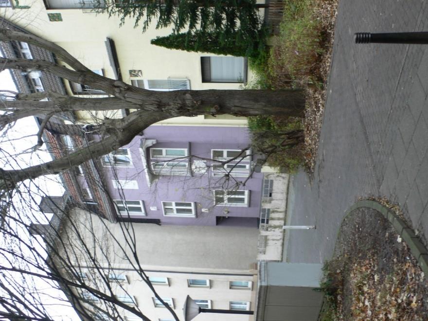 Fassade eines mehrstöckigen Wohnhauses mit lila und cremefarbenen Fassadenabschnitten, Fenstern und Bäumen im Vordergrund, Röntgenstr. 3, Hagen