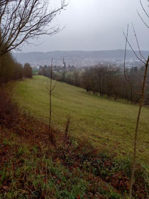 Sonstiges — Immobilie in Tauberbischofsheim