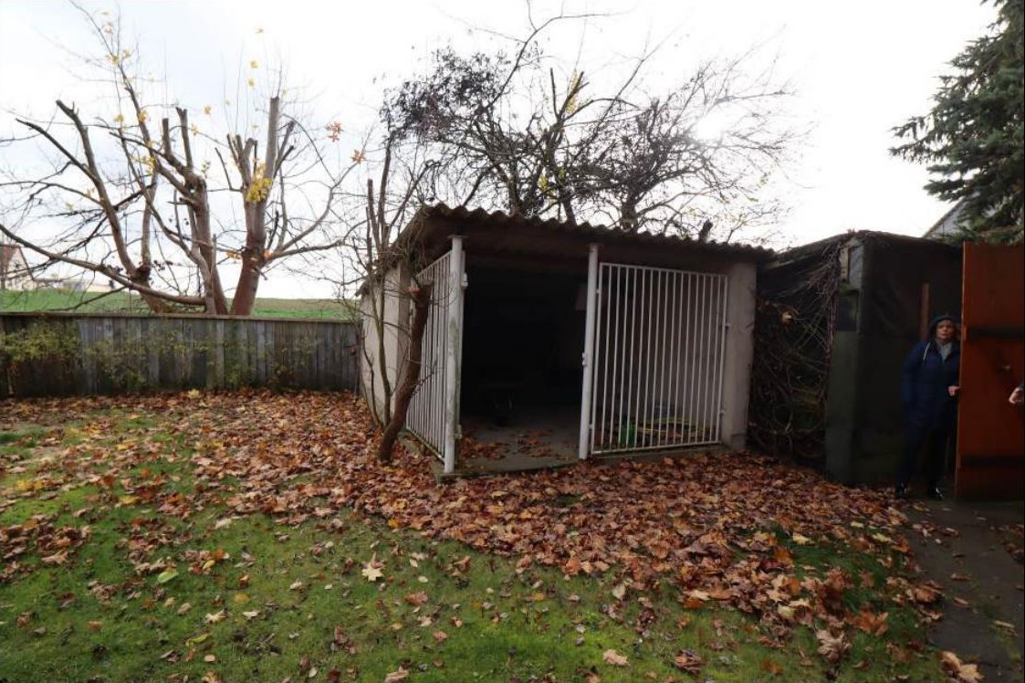 Gartenbereich mit Laub, Gras, einem kleinen Schuppen mit Metalltor und kahlen Bäumen im Hintergrund