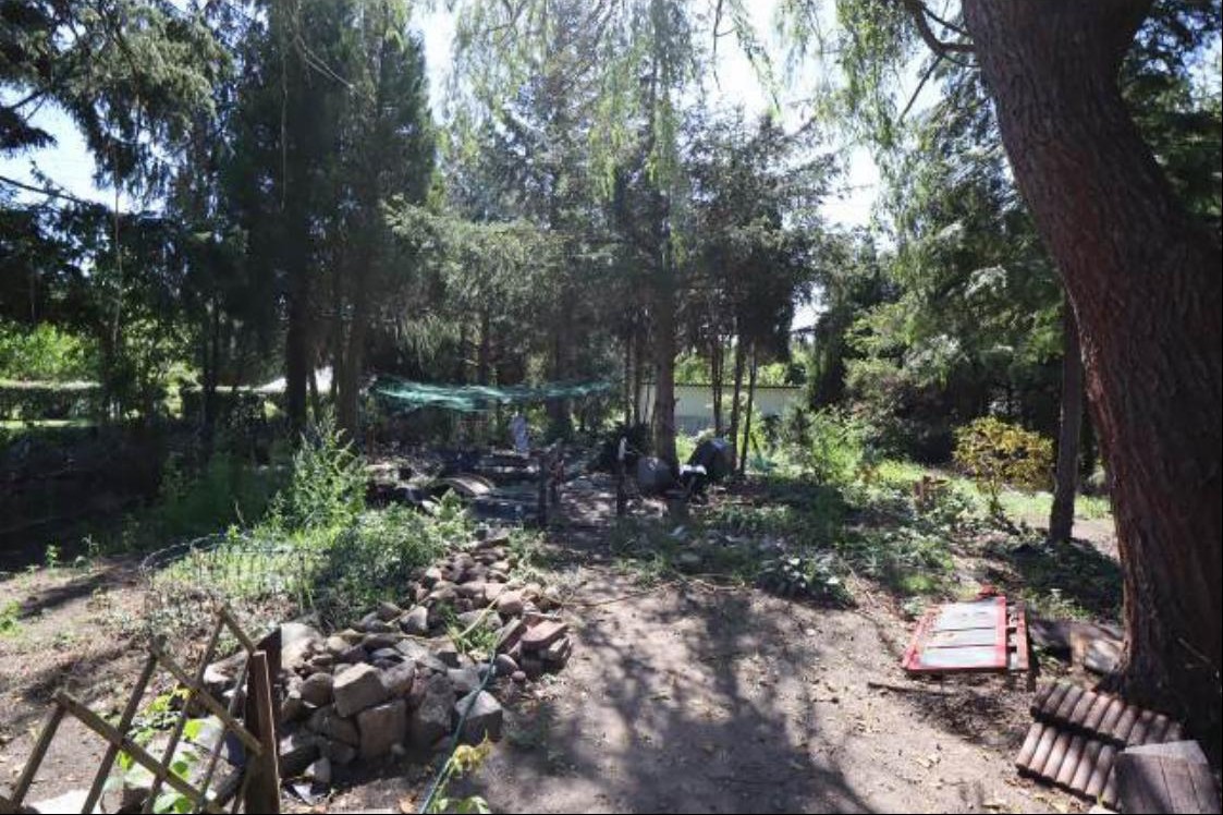Gartenbereich mit Bäumen, Pflanzen, Steinen und einem Weg, Teil eines Einfamilienhauses in Lauta