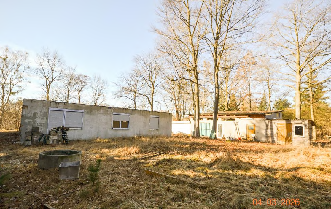 Unbebautes Grundstück mit zwei verfallenen Gebäuden, trockenem Gras und kahlen Bäumen im Gartenbereich eines Einfamilienhauses in Lindow