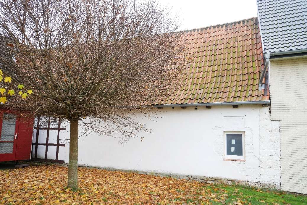 Seitenansicht eines Einfamilienhauses mit weißer Wand, Ziegeldach und Baum im Vorgarten, Herbstlaub am Boden