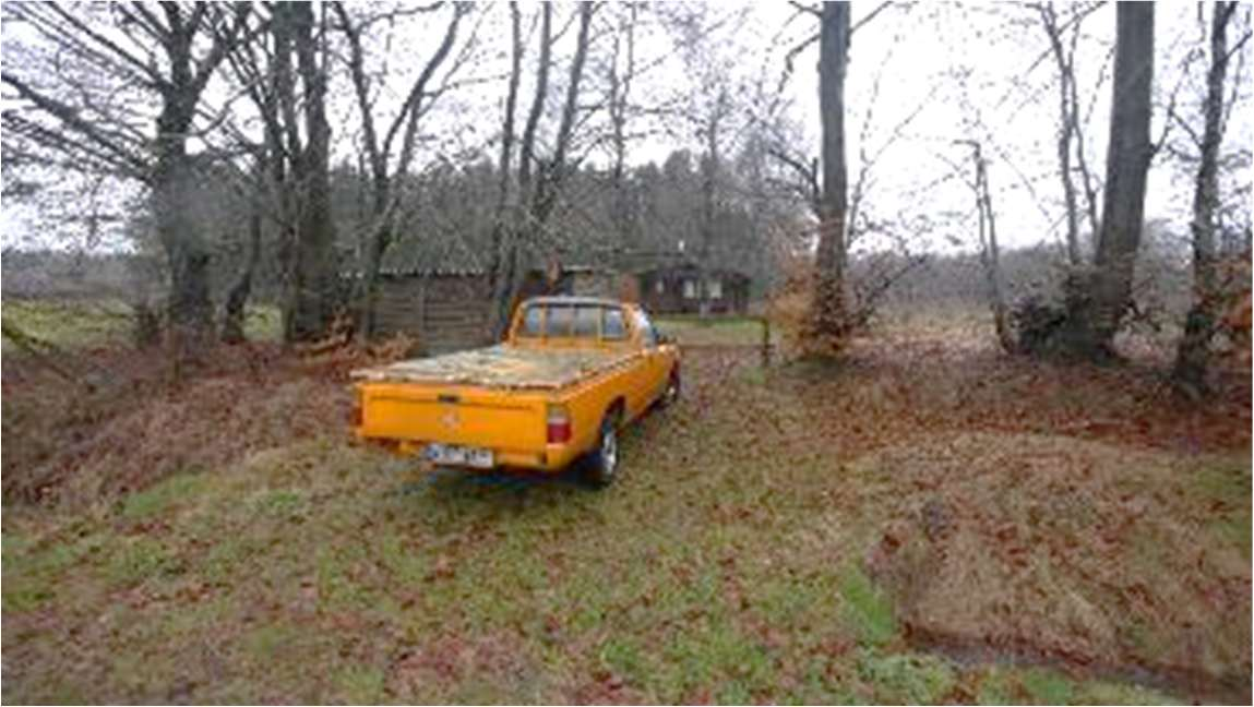 Gartenbereich mit gelbem Pickup-Truck, Laub auf dem Boden, kahlen Bäumen und Holzgebäude im Hintergrund