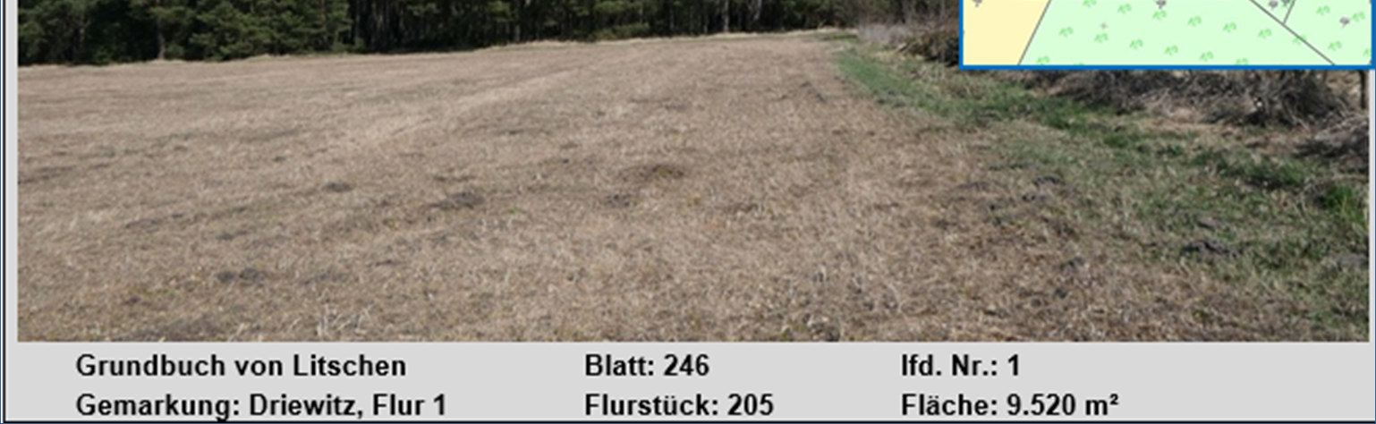 Trockenes Grasland mit Bäumen im Hintergrund, Grundbuchangaben für Litschen, Gemarkung Driewitz, Flur 1, Flurstück 205, Fläche 9.520 m²