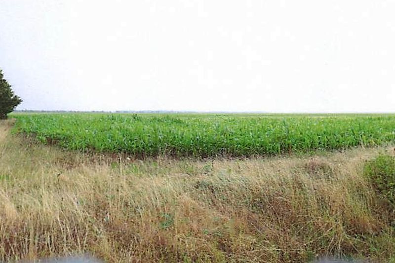 Sonstiges — Sonstiges in Neuburxdorf