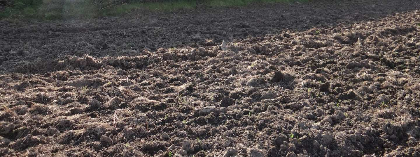 Gepflügter Boden mit Resten von Pflanzen im Gartenbereich in der Nähe der Bamberger Straße, Ebensfeld